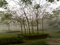 Nokia 6270 camera